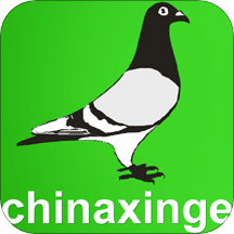 中国信鸽信息网v20210420