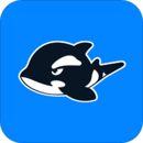 網(wǎng)魚(yú)