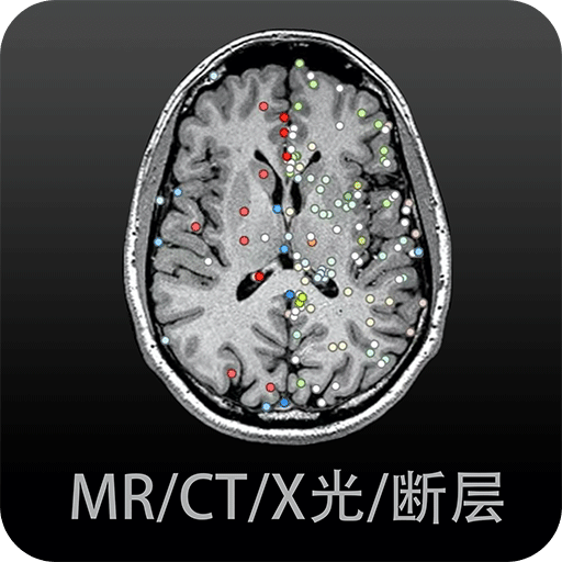 影像解剖图谱v2.2.1