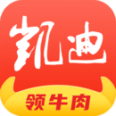 凱迪網(wǎng)
