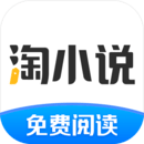 淘小說