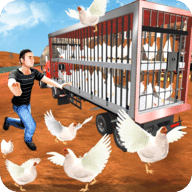 公鸡养殖场
