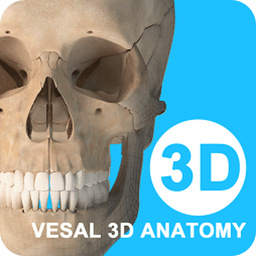 維薩里3D解剖