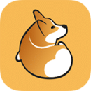 Corgi