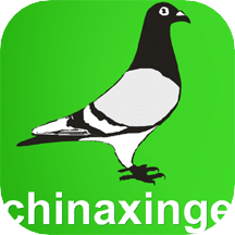 中国信鸽信息网v20220125