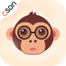 CSDN