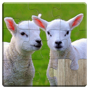 Animals Jigsaw Puzzles Kids *