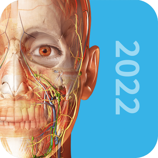 3D人体解剖v2022.0.71