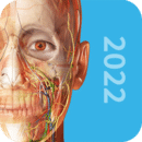 3D人體解剖