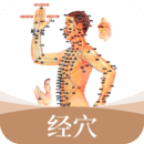 經(jīng)絡(luò)穴位