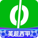 愛奇藝體育