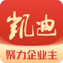 凱迪網