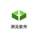 洞见软件