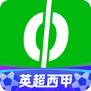 愛奇藝體育