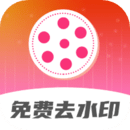 去水印視頻解析