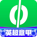 愛奇藝體育