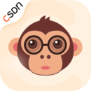 CSDN