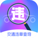 全國交通違章查詢