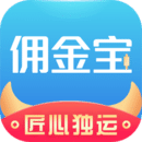 國金傭金寶