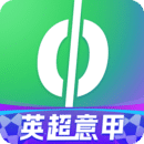 愛奇藝體育