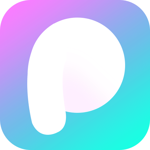 P图v2.3.8