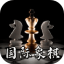 国际象棋双人