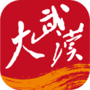 大武漢
