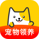 有只寵物