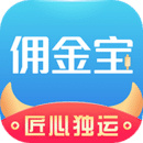 國金傭金寶
