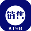 k198销售出库单