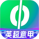 愛(ài)奇藝體育