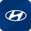 北京現(xiàn)代bluemembers