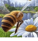 模拟蜜蜂