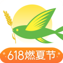 春播
