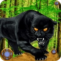 Wild Black Panther Furious Sim