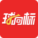 球向標(biāo)
