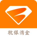 消邦-正規(guī)金融借貸機(jī)構(gòu)