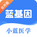 藍(lán)基因