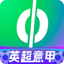 愛奇藝體育