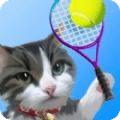 猫咪网球冠军