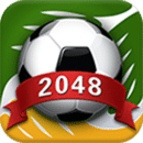 2048巴西世界杯版