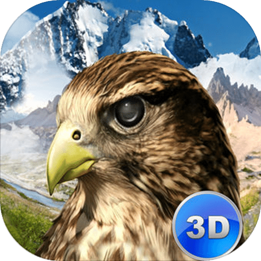 猎鹰模拟3D