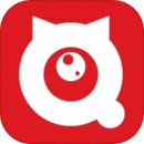 全民嚴(yán)選