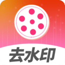 去水印視頻解析