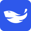 青魚未來(lái)