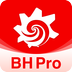 BH Prov3.6.6