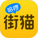 街貓