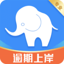 大象債務(wù)處理