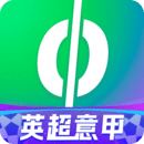 愛奇藝體育
