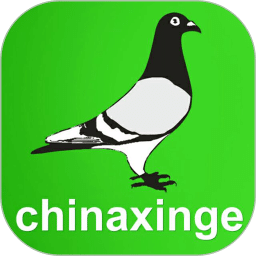 中国信鸽信息网